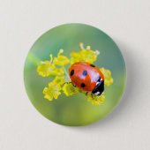 Badge Rond 5 Cm dame sur le dessus (Devant)
