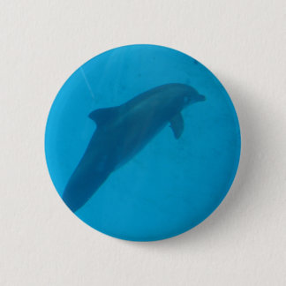 Badge Rond 5 Cm dauphin