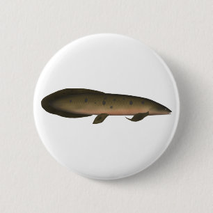 Badge Rond 5 Cm Dauphin australien