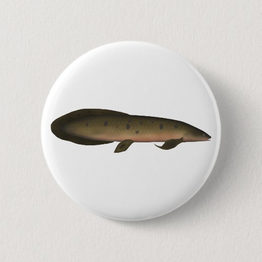 Badge Rond 5 Cm Dauphin australien (Devant)