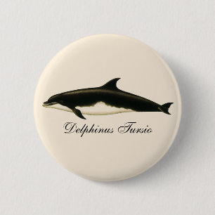 Badge Rond 5 Cm Dauphins vintage Delphinus Tursio, mammifères mari