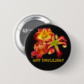 BADGE ROND 5 CM DAYLILIES OBTENUS ? BOUTON (Devant & derrière)