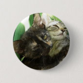 Badge Rond 5 Cm De mignons chatons câlins (Devant)
