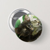Badge Rond 5 Cm De mignons chatons câlins (Devant & derrière)