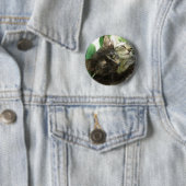 Badge Rond 5 Cm De petits chatons câlins (En situation)