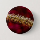 Badge Rond 5 Cm Dew du matin (Devant)