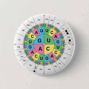 Badge Rond 5 Cm Diagramme de Tableau de séquence de bases d'acide