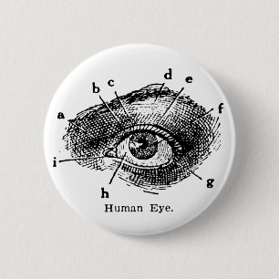 Badge Rond 5 Cm Diagramme vintage d'oeil humain