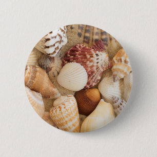 Badge Rond 5 Cm Disposition de coquillage