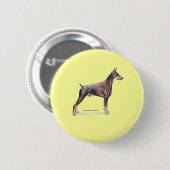 Badge Rond 5 Cm Doberman Pinscher (Devant & derrière)