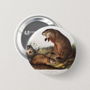 Badge Rond 5 Cm Dons Boodchuck Camping Deco