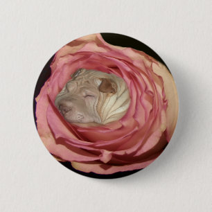 Badge Rond 5 Cm Dormant dans un pâle - rose de rose, chien de Sha