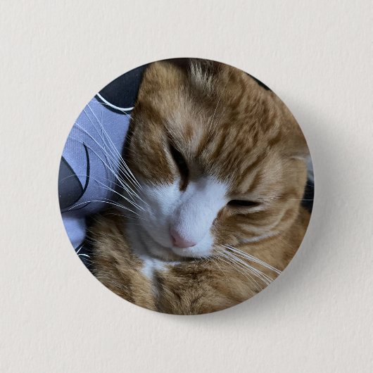Badge Rond 5 Cm Dormant de chat orange (Devant)