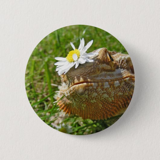 Badge Rond 5 Cm Dragon barbu (Devant)
