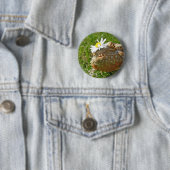 Badge Rond 5 Cm Dragon barbu (En situation)