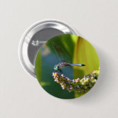 Badge Rond 5 Cm Dragonfly aux yeux turquoises (Devant & derrière)
