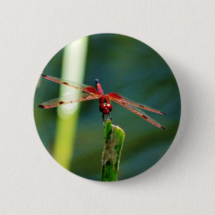 Badge Rond 5 Cm Dragonfly frontale rouge et noire