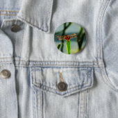 Badge Rond 5 Cm Dragonfly rouge et noire tachetée (En situation)