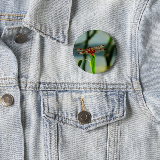 Badge Rond 5 Cm Dragonfly rouge et noire tachetée (En situation)