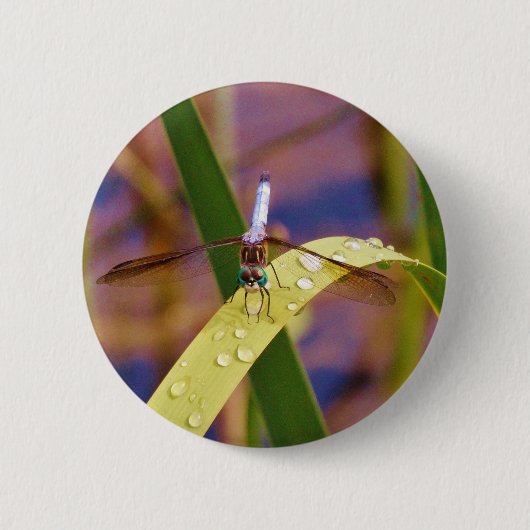 Badge Rond 5 Cm Dragonfly sur la feuille de pluie (Devant)
