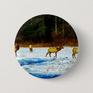 BADGE ROND 5 CM DSC00131.JPG