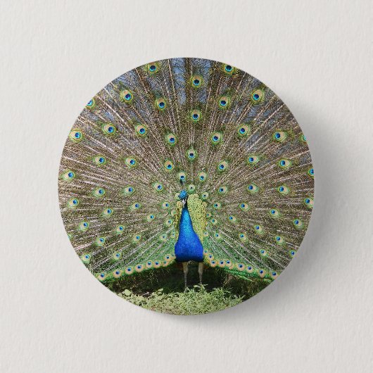 BADGE ROND 5 CM DSCF1062 (Devant)