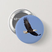 Badge Rond 5 Cm Eagle chauve américain (Devant & derrière)