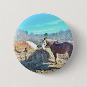 Badge Rond 5 Cm Ébauche secourue Chevaux mangeant foin