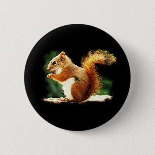Badge Rond 5 Cm Écureuil