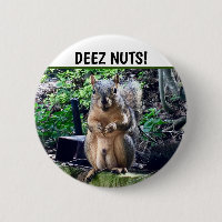 Écureuil Drôle Deez Nuts Humour Inapproprié Photo