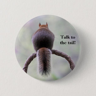 Badge Rond 5 Cm Écureuil fol