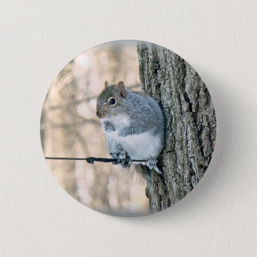 Badge Rond 5 Cm Écureuil gris - Sciurus carolinensis (Devant)
