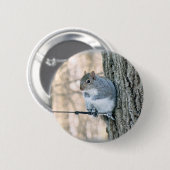 Badge Rond 5 Cm Écureuil gris - Sciurus carolinensis (Devant & derrière)