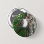 Badge Rond 5 Cm Écureuil gris (Sciurus carolinensis) (Devant & derrière)