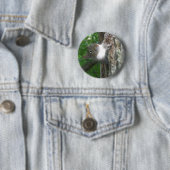 Badge Rond 5 Cm Écureuil gris (Sciurus carolinensis) (En situation)