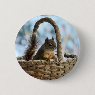 Badge Rond 5 Cm Écureuil mignon dans un panier en hiver