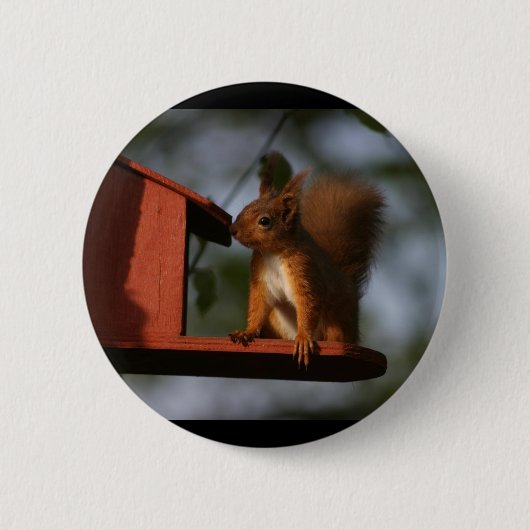 Badge Rond 5 Cm Écureuil rouge (Devant)