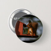 Badge Rond 5 Cm Écureuil rouge (Devant & derrière)