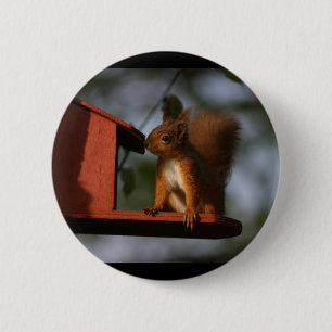 Badge Rond 5 Cm Écureuil rouge