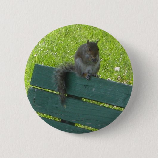 Badge Rond 5 Cm Écureuil sur le banc (Devant)
