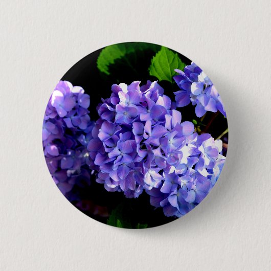 Badge Rond 5 Cm Elégante fleurs florales violettes profondes hydra (Devant)