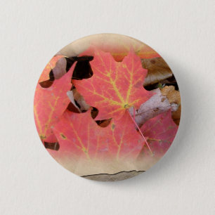 Badge Rond 5 Cm Éléments de coordination des Feuilles de l'érable