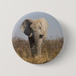 Badge Rond 5 Cm Eléphant