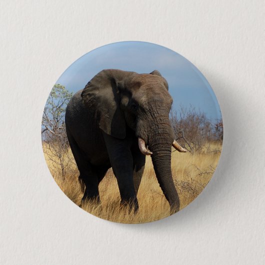 Badge Rond 5 Cm Eléphant africain (Devant)