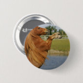 Badge Rond 5 Cm Élevage miniature de cheval (Devant & derrière)