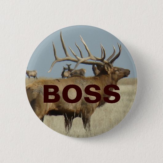 Badge Rond 5 Cm Elk taureau E4 (Devant)
