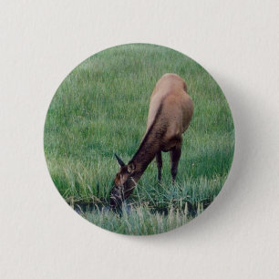 Badge Rond 5 Cm Elk - Yellowstone