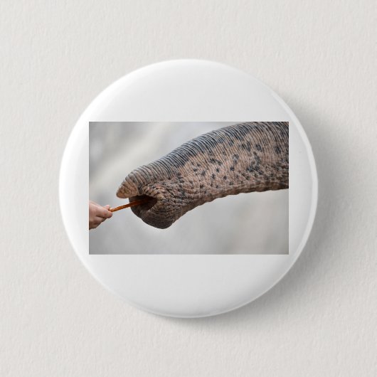 Badge Rond 5 Cm enfant et éléphant (Devant)