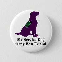 Entretenez le chien