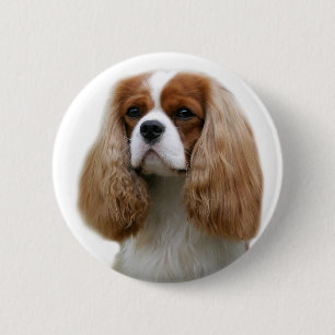 Badge Rond 5 Cm Épagneul cavalier du Roi Charles